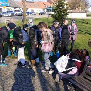 cd20.jpg